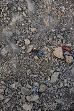 Textures On The Cracked Ground Stock Photos