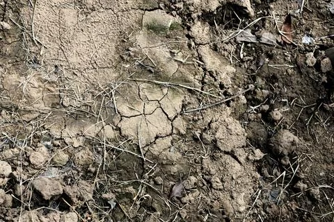 Textures On The Cracked Ground Stock Photos