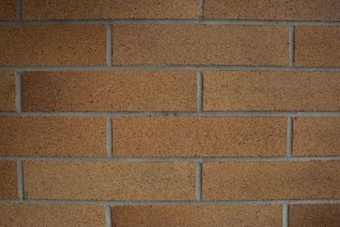 The textures of a different plant, walls, objets, Stock Photos