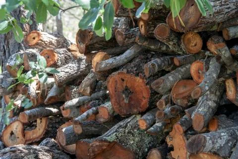 Textures of the nature Stock Photos