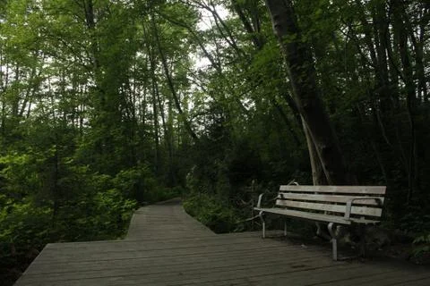 Textures of the nature Foto stock