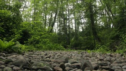 Textures of the nature Stock Photos