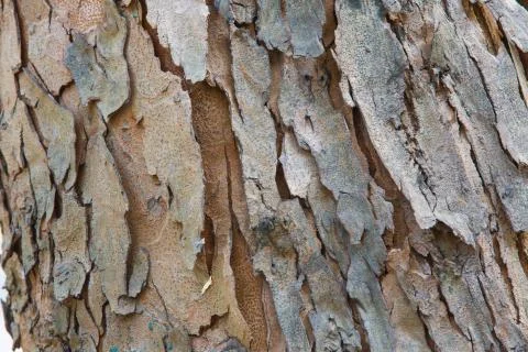 Textures Stock Photos