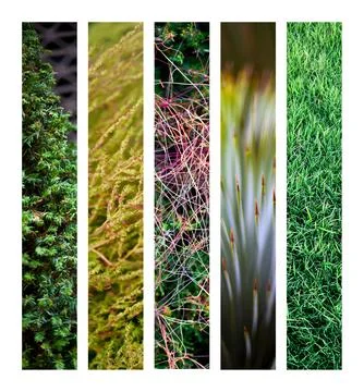 Textures Stock Photos