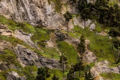 Textures of rocks, grass and trees in toy landscape. Stock Photos
