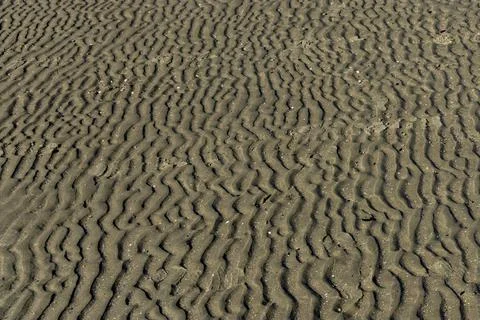 Textures in the sandy beach Stock Photos