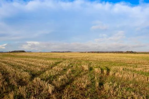 Textures in straw stubble Stock Photos