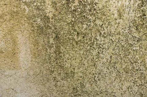 Textures of time on an old wall, revealing nature's artistry in muted tones.. Stock Photos