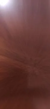 TextureWoodBlure Stock Photos