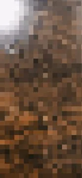  TextureWoodPixels Fotos de archivo