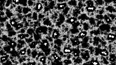 Texturized Cloud Noise Effect with High Contrast Stock Footage 153748833