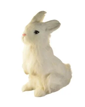 Th White Rabbit Stock Photos