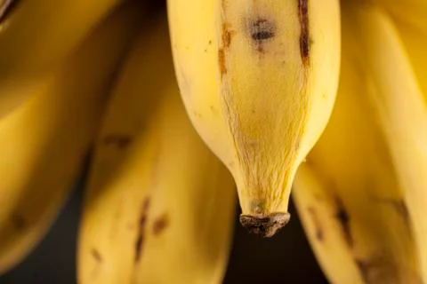 Thai bananas Stock Photos