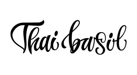 Thai basil - hand drawn spice text. Stock Illustration