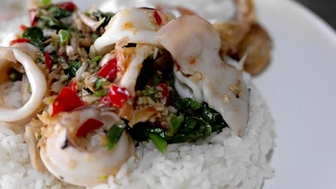 Thai Basil Squid Rice with Fried Egg Stock Footage 344399974