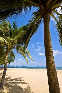 Thai Beach Stock Photos