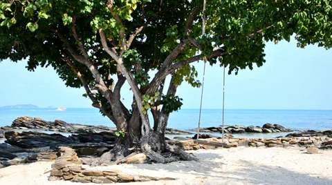 Thai beach, a swing in a windy day 库存影片 35859500