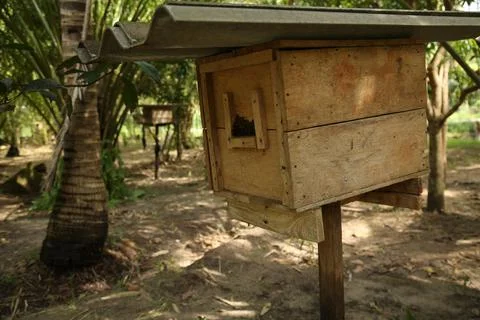 Thai beehive Stock Photos