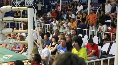 Thai Boxing Stock Footage 11316346