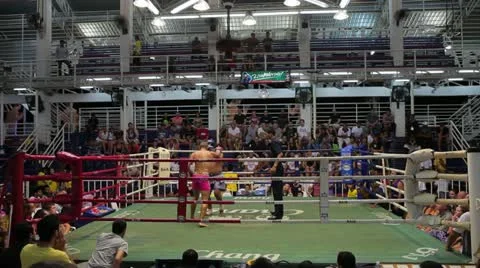 Thai Boxing Stock Footage 11316589