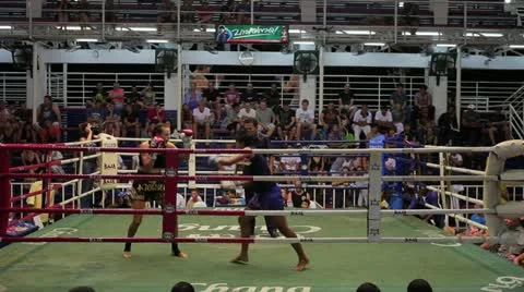 Thai Boxing Stock Footage 11316697