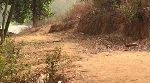 Thai boys Stock Footage 854065