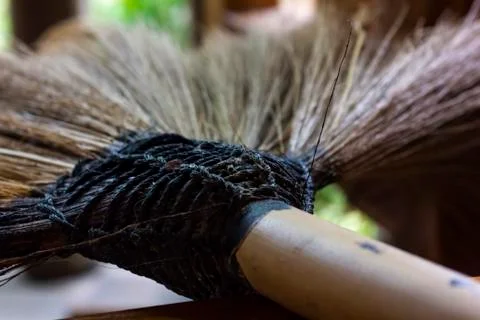 Thai  broom Stock Photos