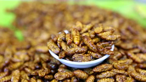 Thai Cooked Bugs Insects Video stock 157031907