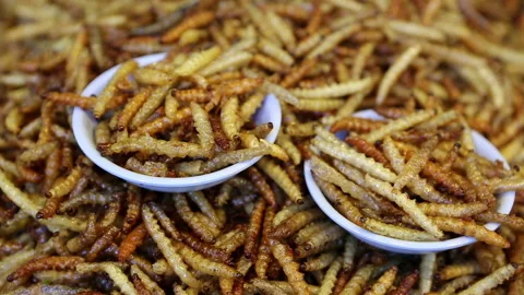 Thai Cooked Bugs Insects Stock Footage 157032055