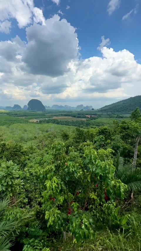Thai Countryside Panorama Stock Footage 273504737