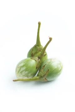 Thai eggplant Stock Photos