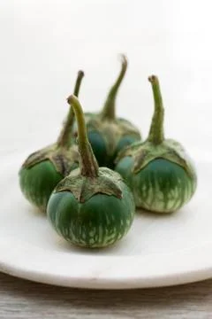 Thai eggplants Stock Photos