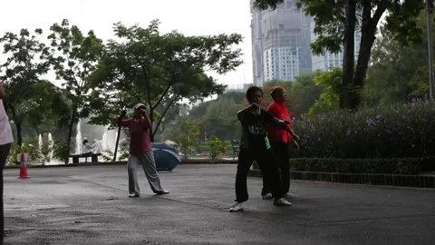Thai elders showcase Tai Chi skills to mark World Population Day in Bangkok, THA Stock Footage 245797878