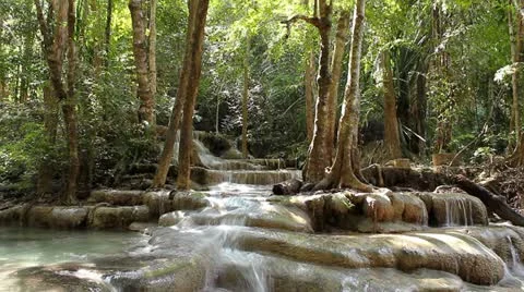 Thai Fall 1 Stock Footage 12455959