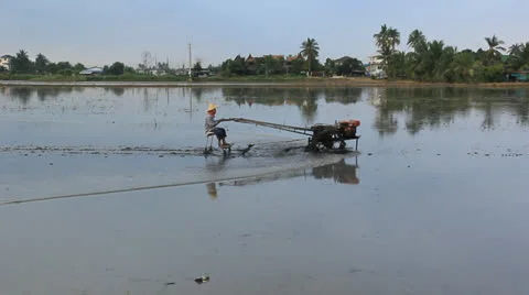 Thai Farmer Stock Footage 24500850