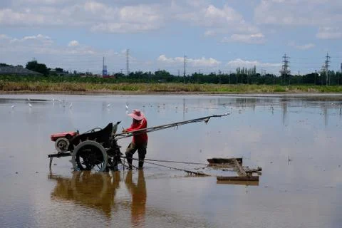 Thai farmer at the tractor ready to work in the rice field Stock Photos