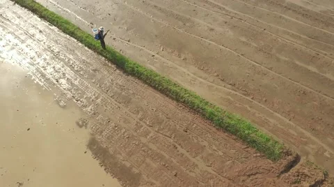 Thai farmer using seed spreader Stock Footage 68357826