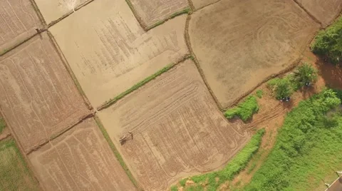 Thai farmer using walking tractor Video stock 68357640