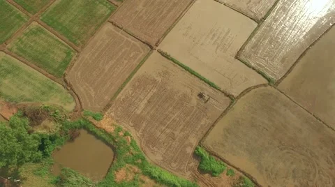 Thai farmer using walking tractor Video stock 68357743
