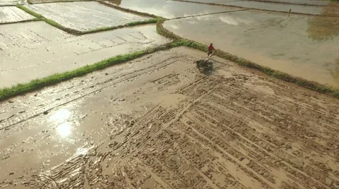 Thai farmer using walking tractor Stock Footage 68357988