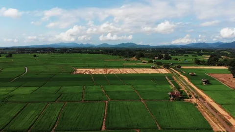 Thai farmer working at small plant or crop plantation Video stock 95938897