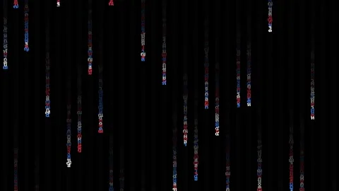 Thai Flag Colors Matrix Digital Rain Code Background Stock Footage 331547250