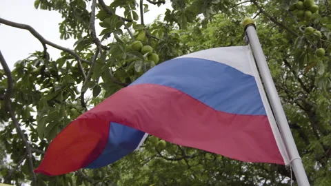 Thai flag waves in the breeze, slow motion Stock Footage 143875132