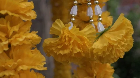 Thai Flowers Stock Footage 120546108