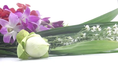 Thai flowers rotating on white background Stock Footage 124903909