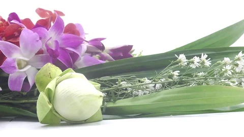 Thai flowers rotating on white background Stock Footage 124903913