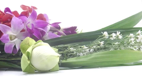 Thai flowers rotating on white background Stock Footage 124903915