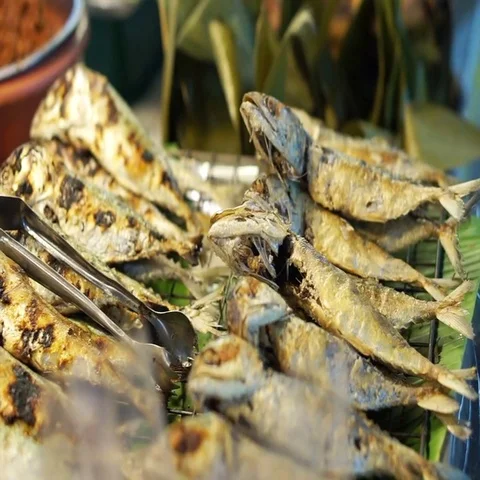 Thai fried short-bodied mackerel, local popular fish for Thailand Stock Footage 69702211