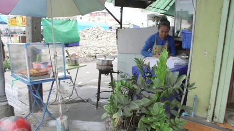 Thai Fried Spring Rolls Stock Footage 146871055