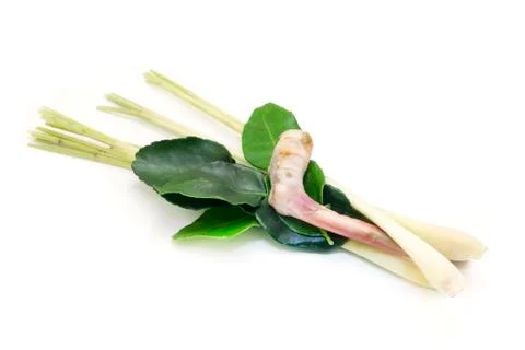 Thai galangal Stock Photos